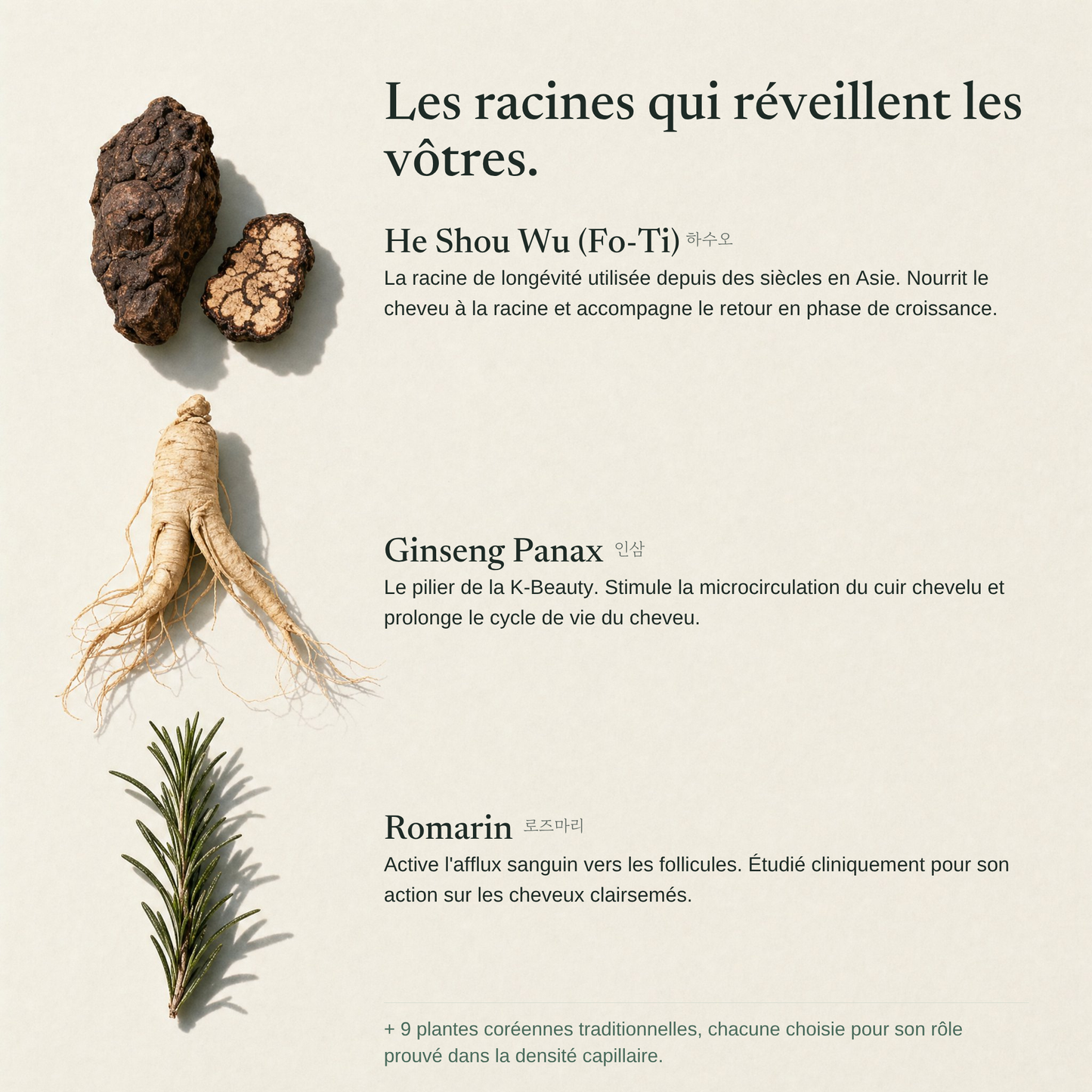La Barre Exfoliante du Cuir Chevelu