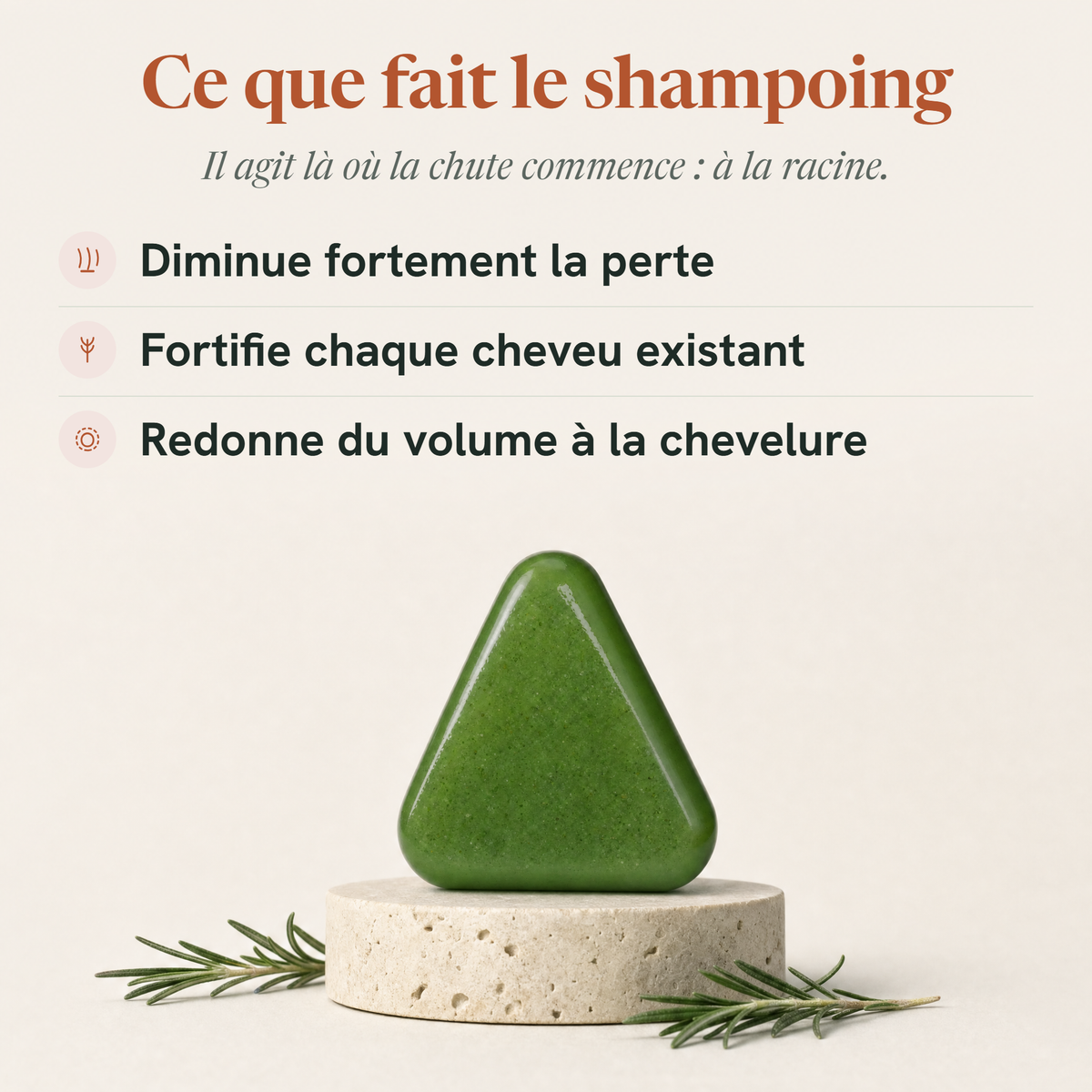 Shampoing sec Teodam