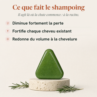 Shampoing sec Teodam