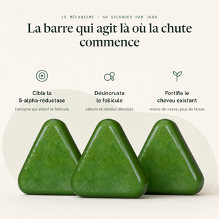 La Barre Exfoliante du Cuir Chevelu