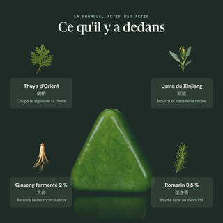 La Barre Exfoliante du Cuir Chevelu